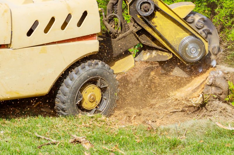 Commercial Stump Grinding in Aiken, SC