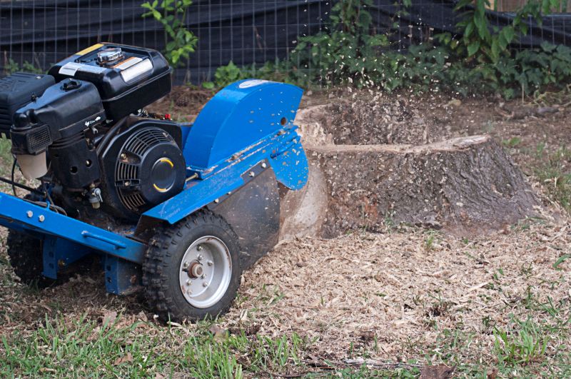 Commercial Stump Grinding in Aiken, SC