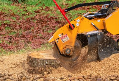 Commercial Stump Grinding in Doylestown, PA