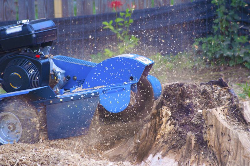 Commercial Stump Grinding in Pottstown, PA