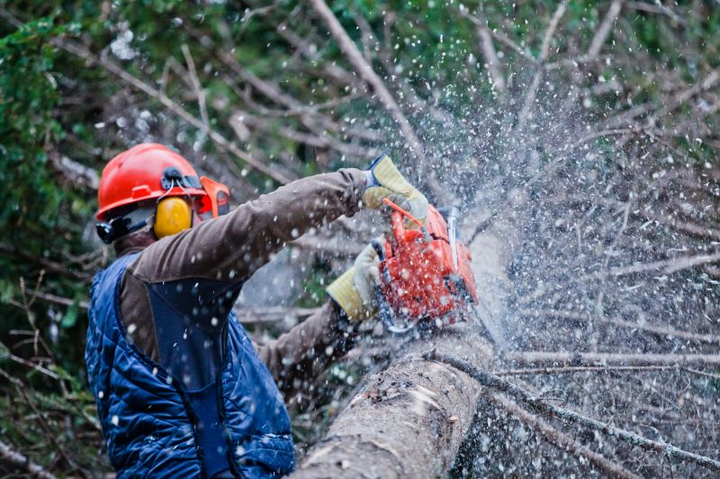 Commercial Tree Trimming in Aiken, SC