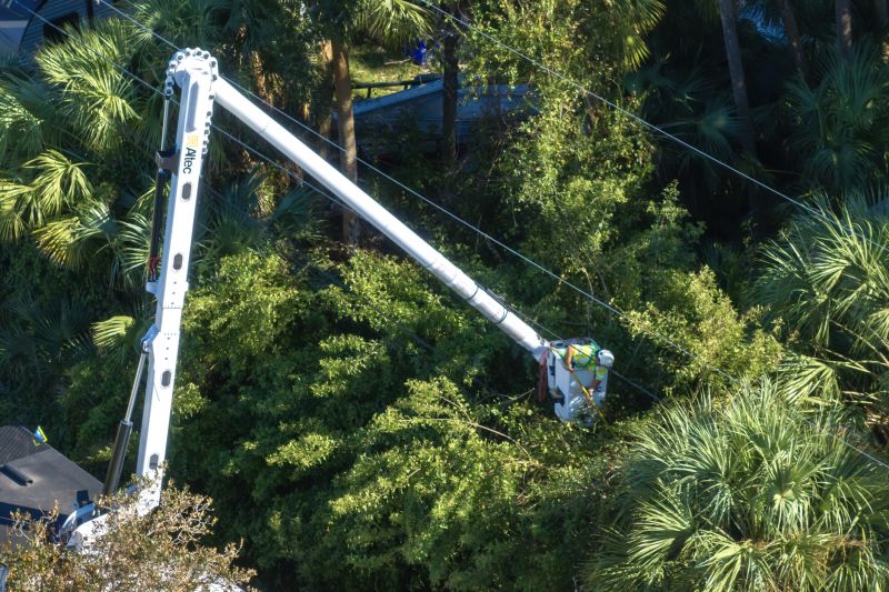 Commercial Tree Trimming in Bucks County, PA