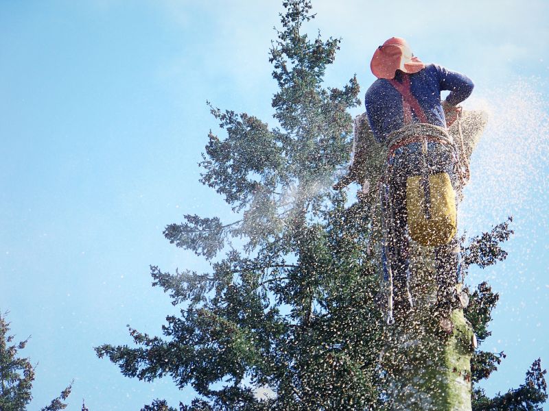 Dead Tree Removal in Montgomery County, PA