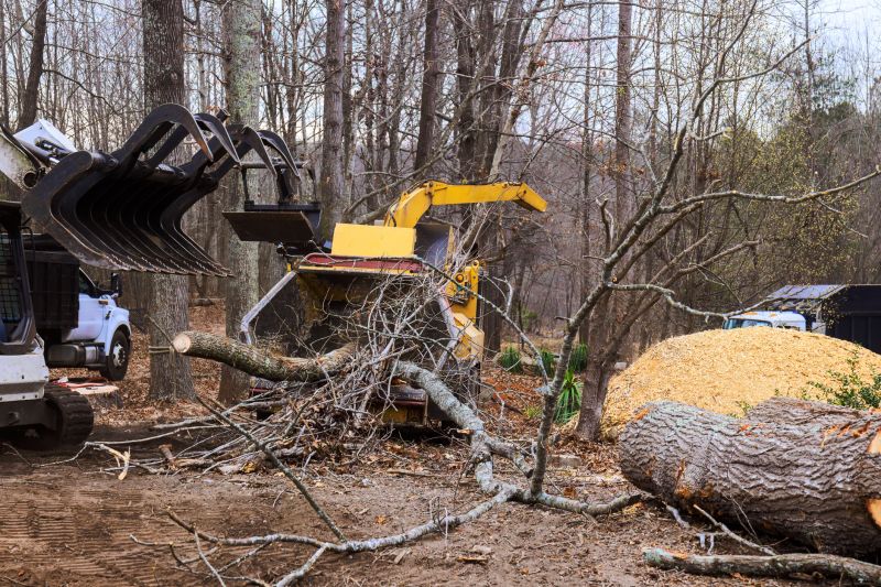 Dogwood Tree Removal in Aiken, SC