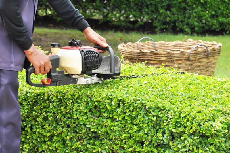 Hedge Removal Service in Honolulu, HI