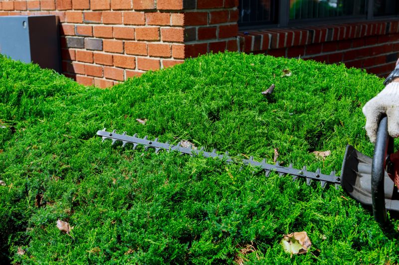 Hedge Trimming in Honolulu, HI
