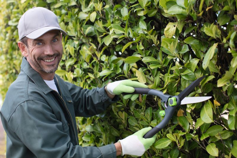 Honeysuckle Trimming in Rockwall, TX
