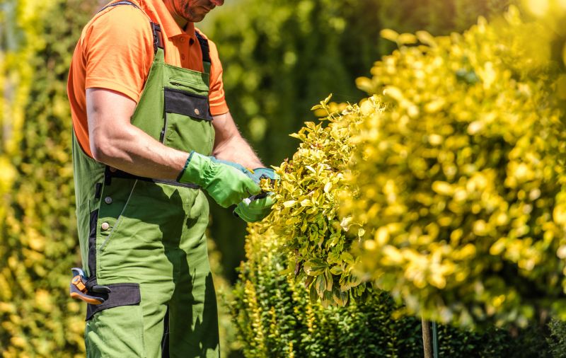 Shrub Pruning in Aiken, SC