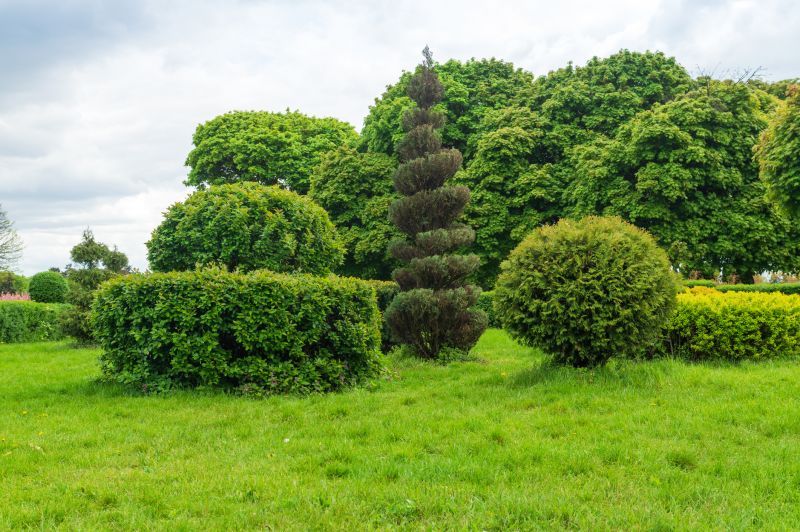 Shrubs Removal in Aiken, SC