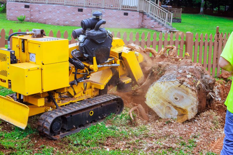 Stump Grinding Service in Calvert County, MD