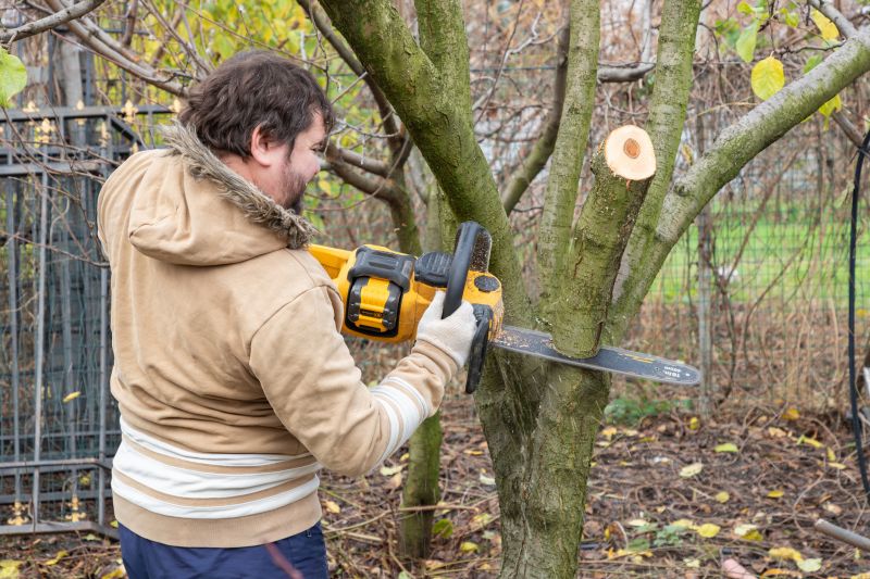 Tree Service in San Jose, CA